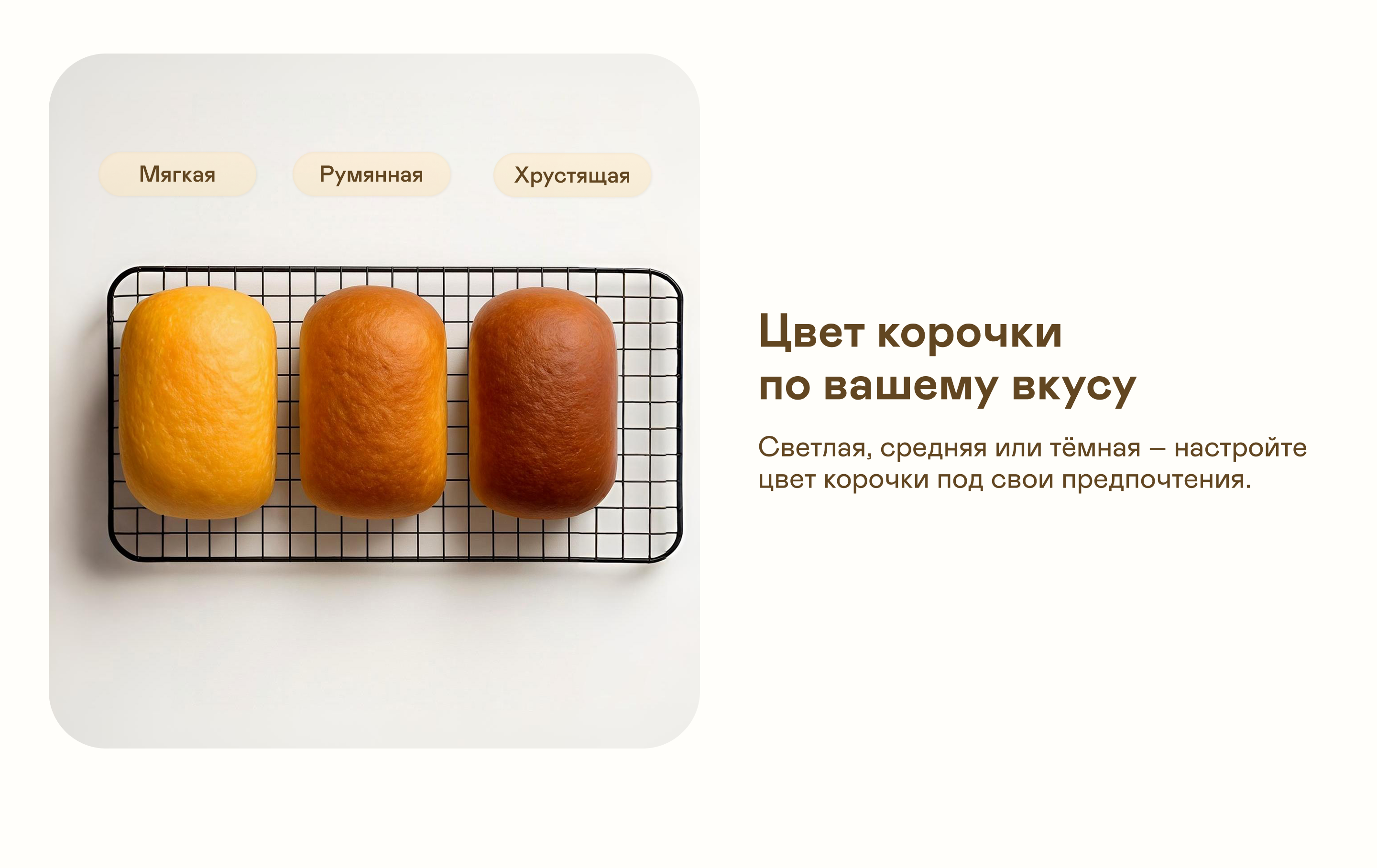 https://s3.garlyn.ru/product-contents/11372018desktop/9f8f5a6f-a9e7-4256-ab5e-efcf87392088.png