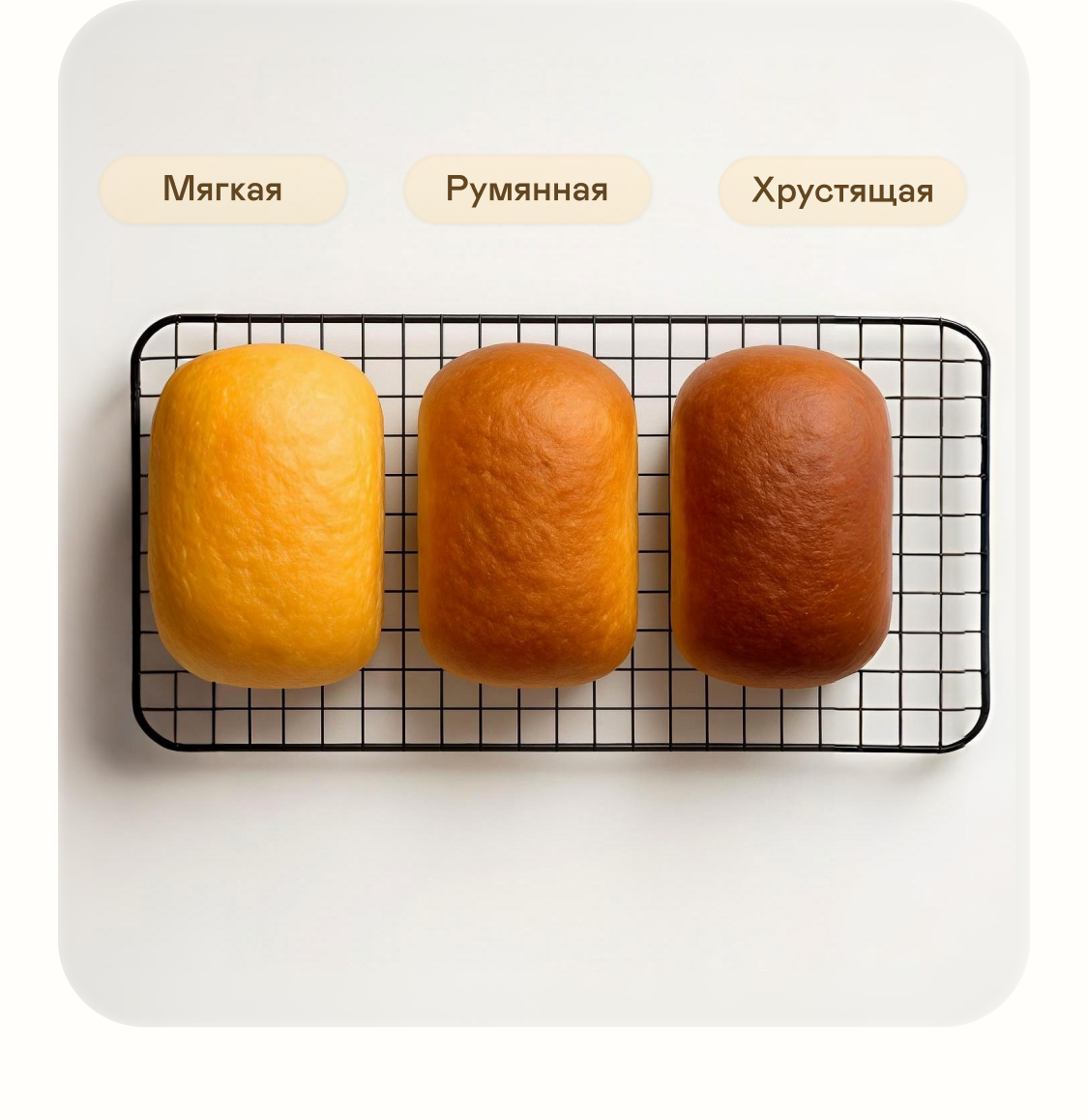https://s3.garlyn.ru/product-contents/11372018mobile/9f8f5b14-25e4-4842-ae12-3dbbfe04ac09.png