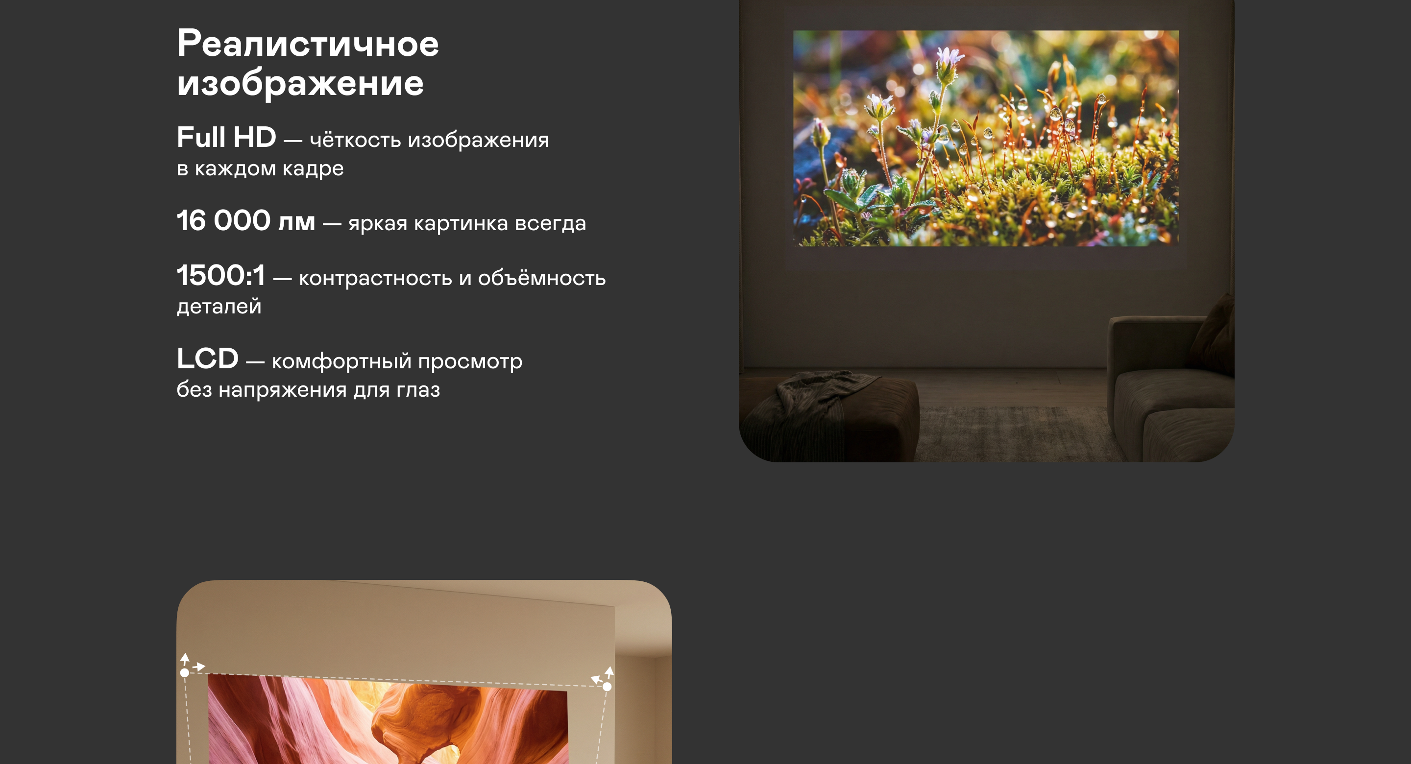 https://s3.garlyn.ru/product-contents/12362018desktop/a1c90dd6-485e-4a31-92a3-e1e1bdd340fb.png
