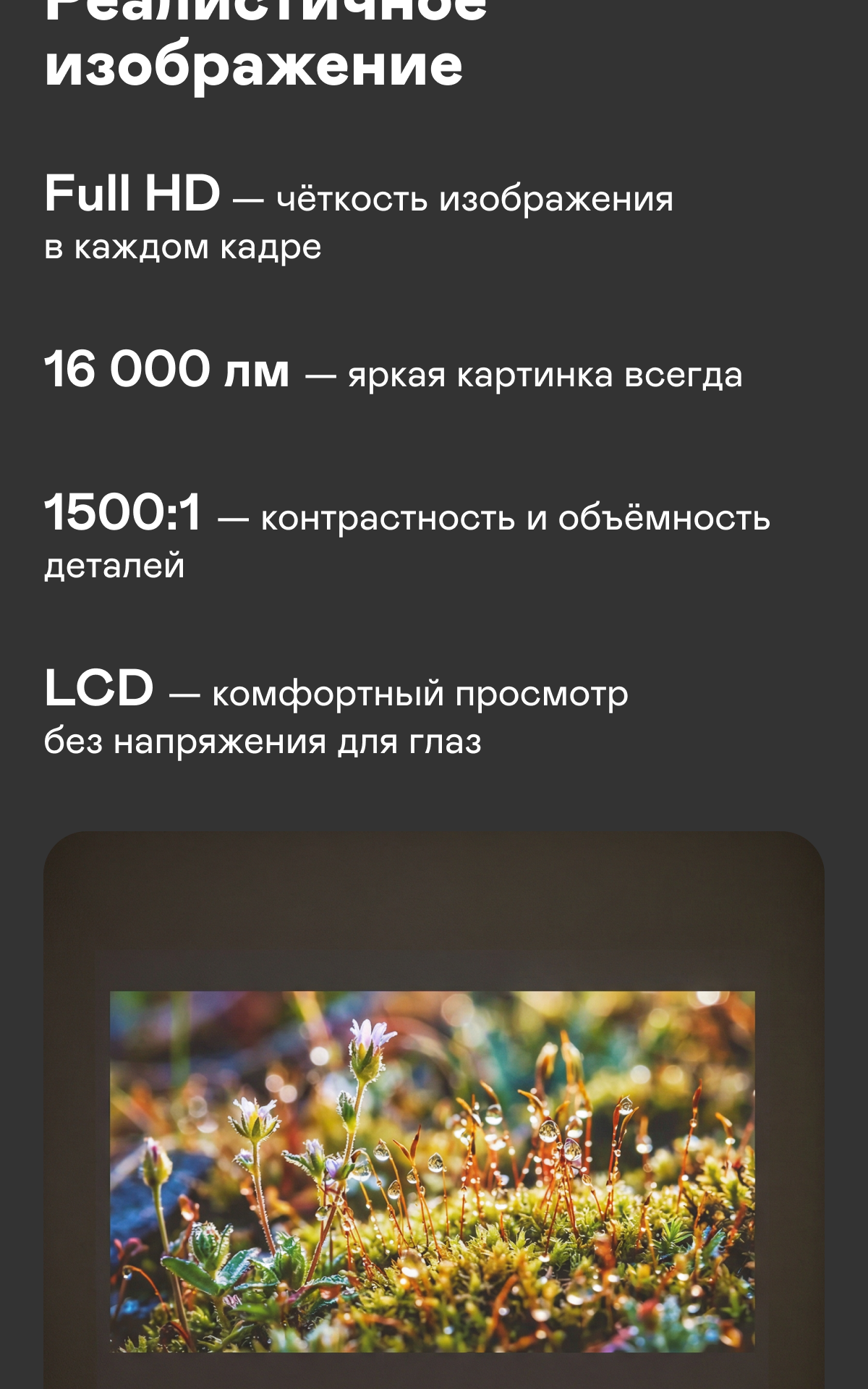 https://s3.garlyn.ru/product-contents/12362018mobile/a1c90efe-a8b1-4dfe-aa41-85474363c3bf.png