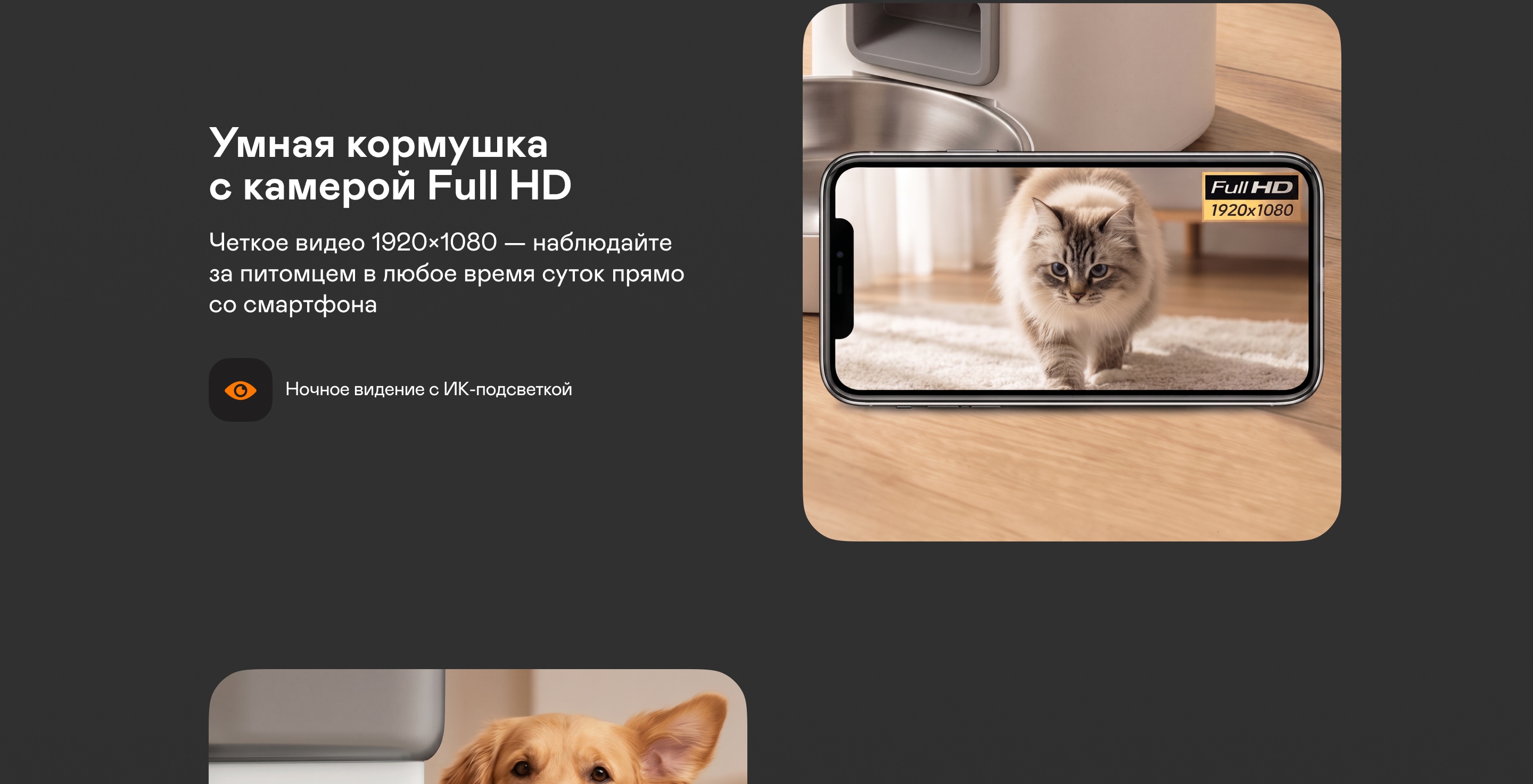 https://s3.garlyn.ru/product-contents/14132018desktop/a237b62c-68af-4ba7-9eec-5d8b9bce8a3c.jpg