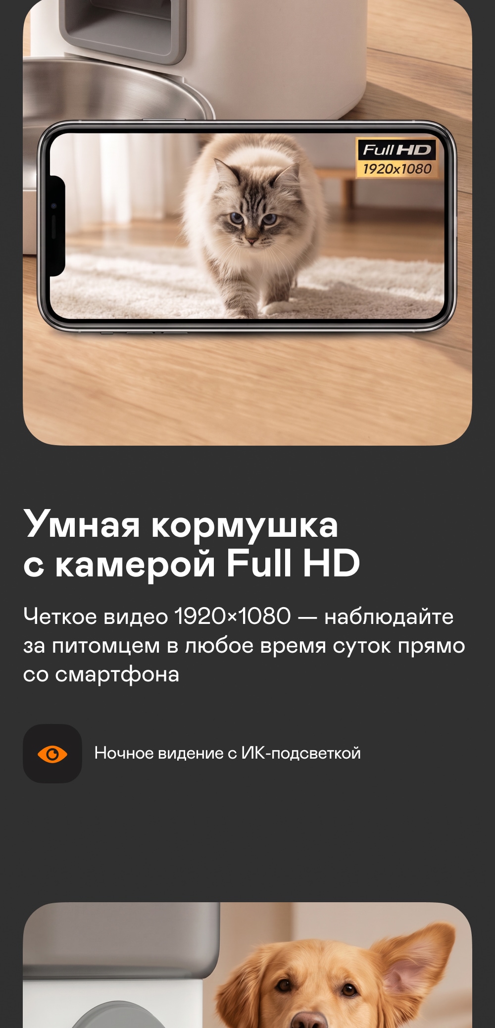 https://s3.garlyn.ru/product-contents/14132018mobile/a237b678-af65-47b9-92f8-1fff0e291525.jpg