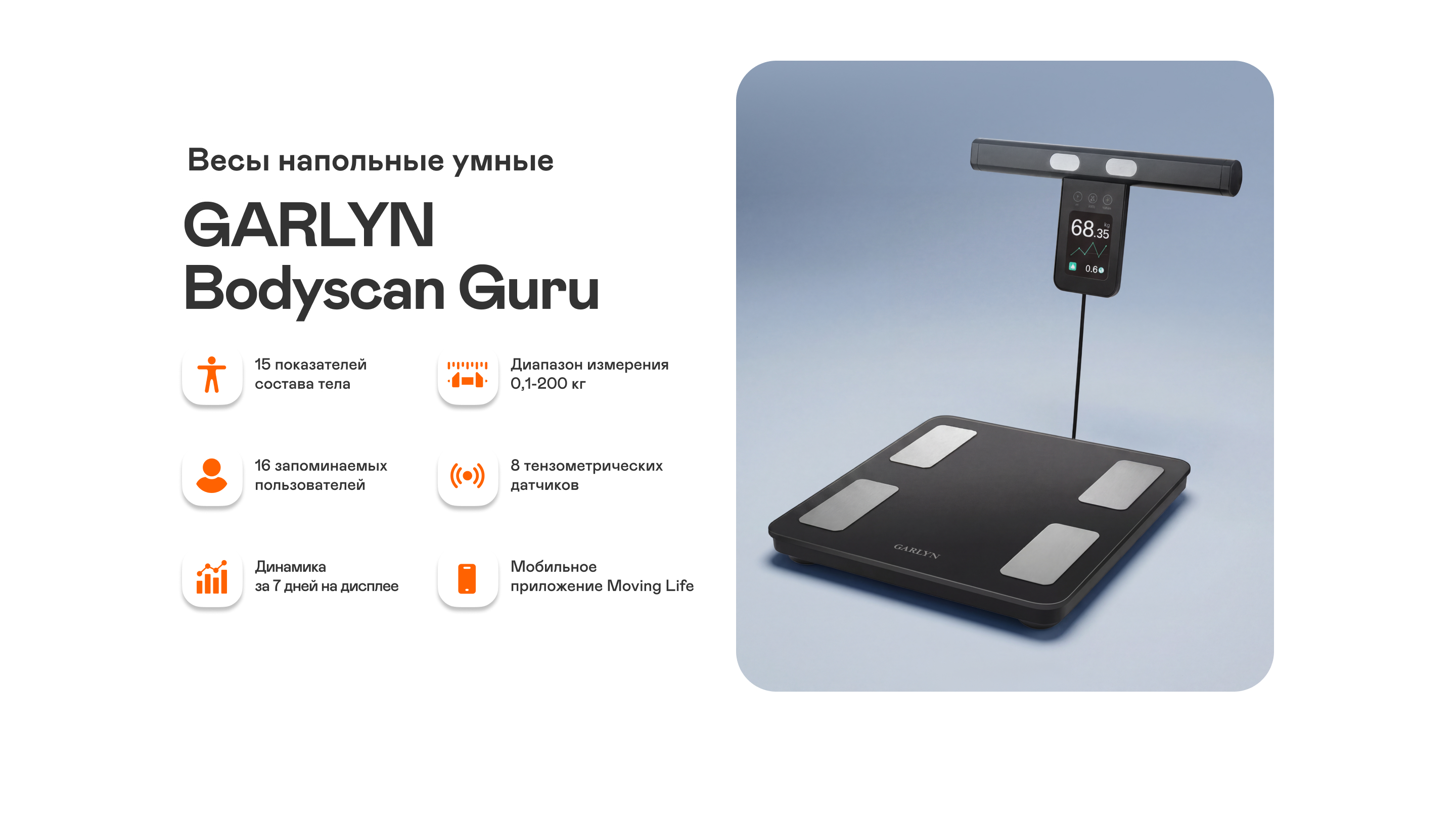 https://s3.garlyn.ru/product-contents/14322018desktop/a237ca91-501b-44b7-aa21-51018bc66af5.jpg