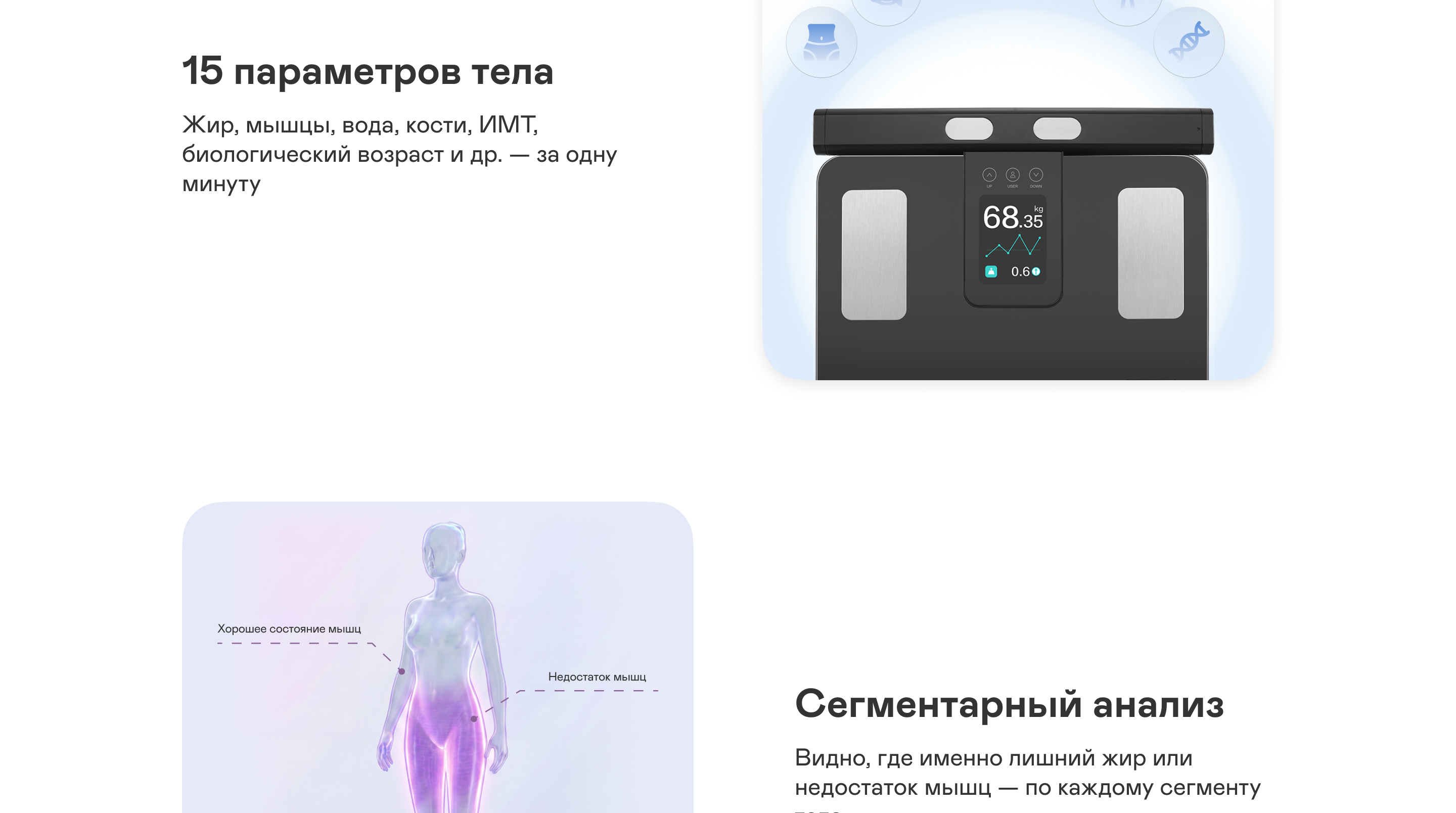 https://s3.garlyn.ru/product-contents/14322018desktop/a237ca91-b39b-49b8-b136-1a6f4c8b2671.jpg