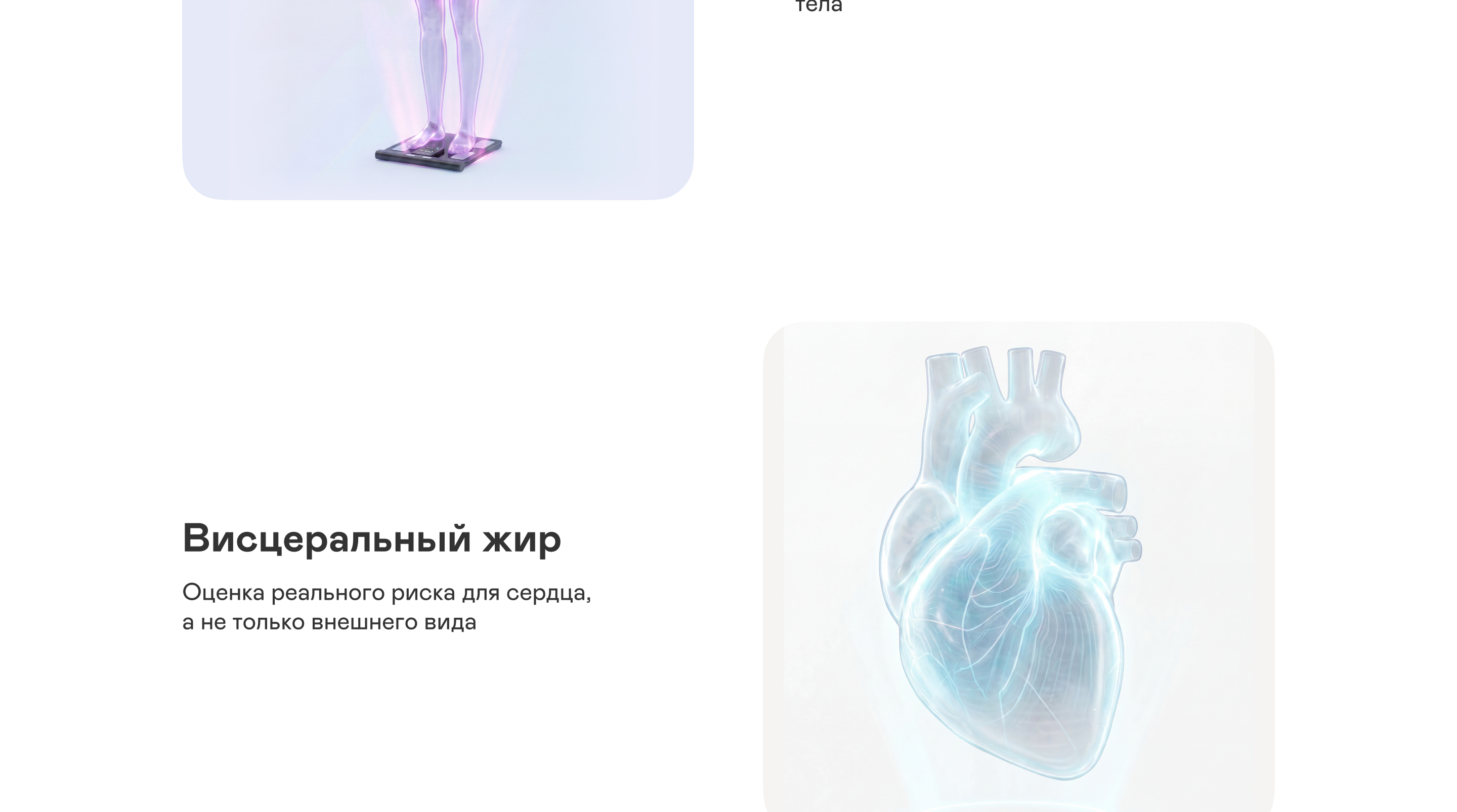 https://s3.garlyn.ru/product-contents/14322018desktop/a237ca91-cc7c-4aec-a4cf-ba7b339db529.jpg