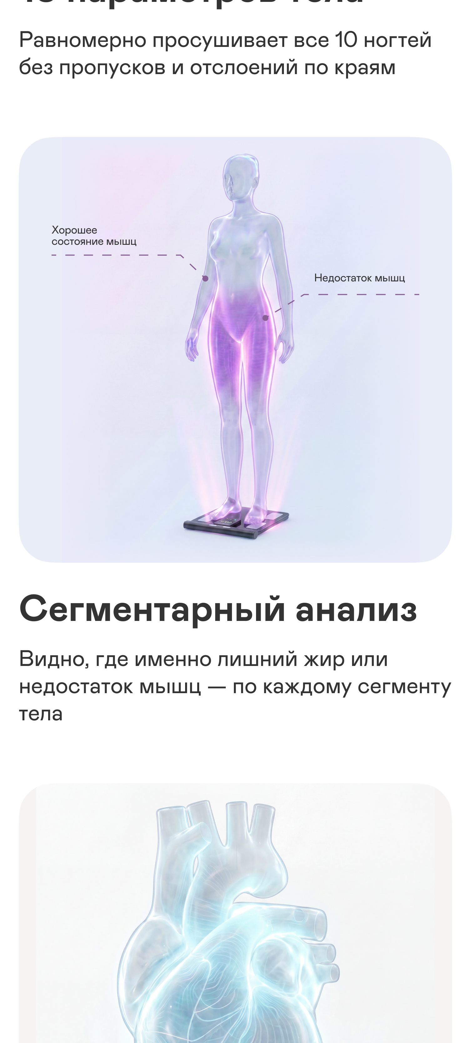 https://s3.garlyn.ru/product-contents/14322018mobile/a237cc29-88eb-48c1-8ade-779640d51123.jpg