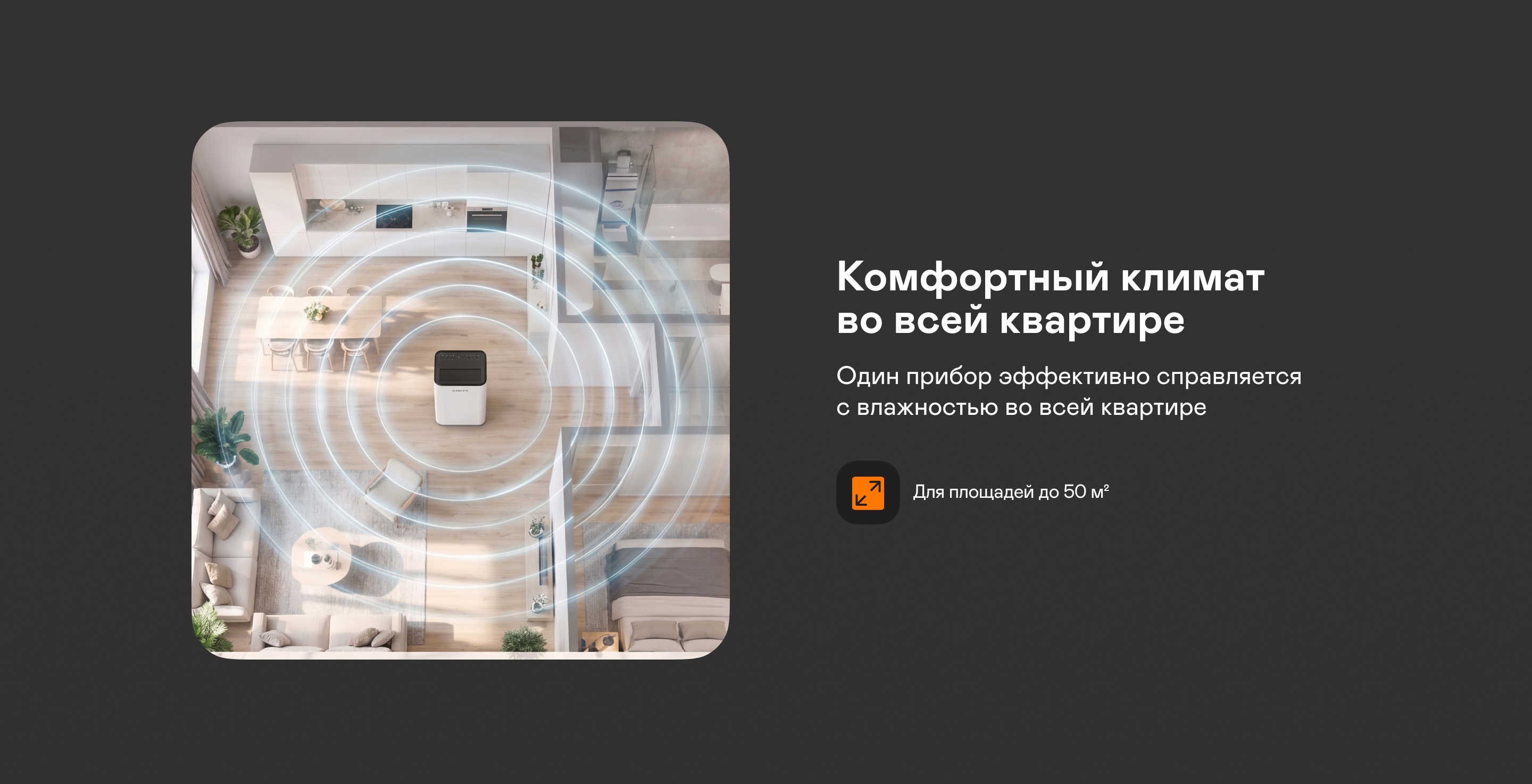 https://s3.garlyn.ru/product-contents/14522018desktop/a24563d6-b496-4a98-b6d5-dfff178561ed.jpg