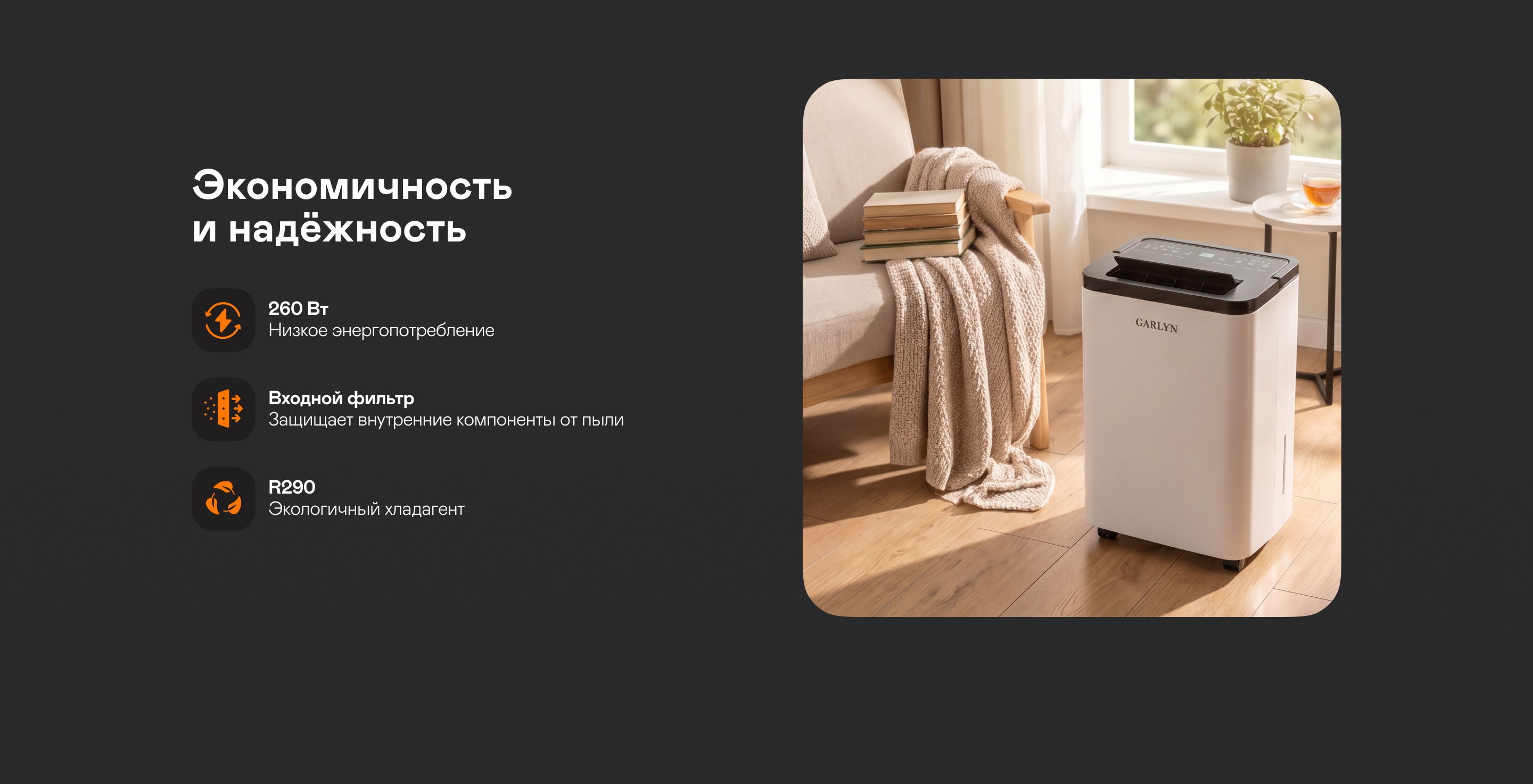 https://s3.garlyn.ru/product-contents/14522018desktop/a24563d7-d3f7-4c00-8bbd-7243843dd470.jpg