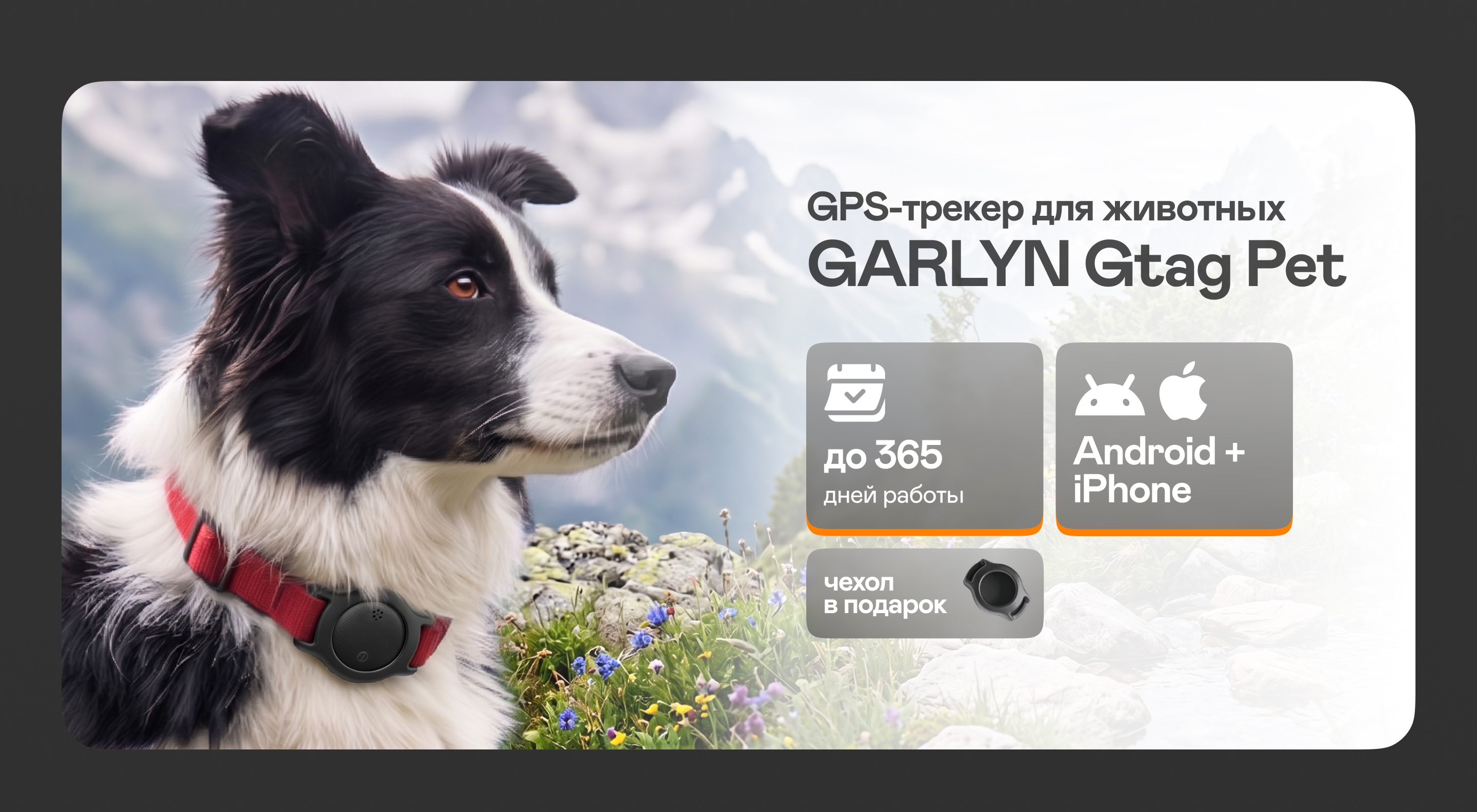 https://s3.garlyn.ru/product-contents/14582018desktop/a1c743ac-b601-4a85-93af-649a12ca94a0.jpg