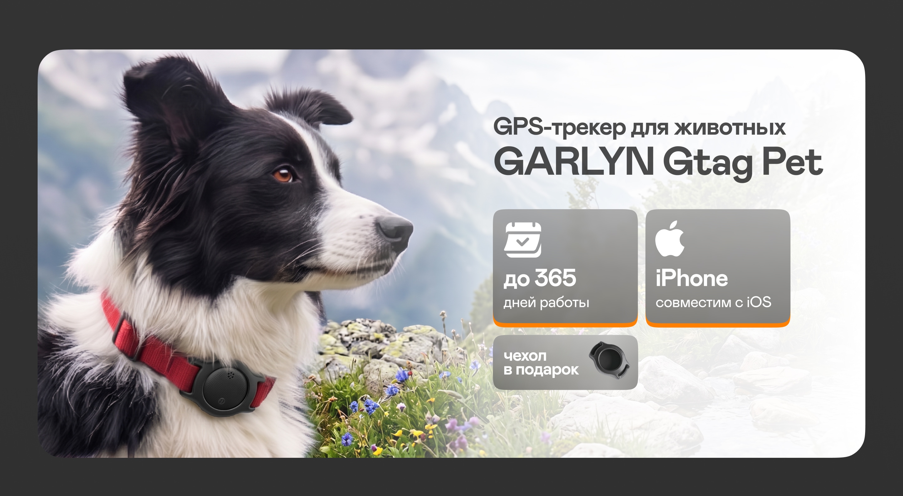 https://s3.garlyn.ru/product-contents/14582018desktop/a27225dc-f74d-4c11-9e94-0c4e5aa4d7c5.jpg