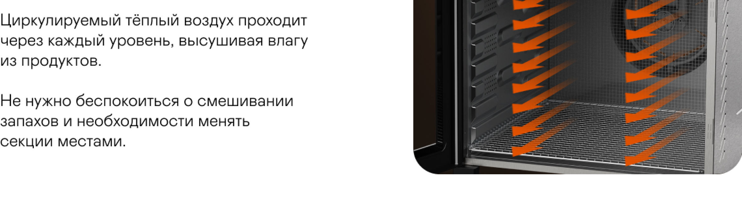 https://s3.garlyn.ru/product-contents/2502018/desktop/19.jpg