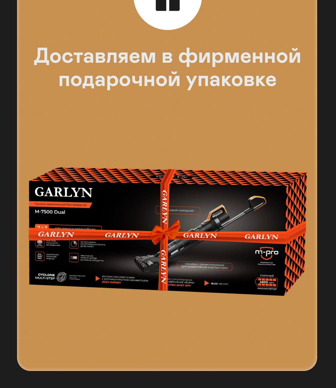 https://s3.garlyn.ru/product-contents/6392018mobile/9cf81765-e362-4cd2-b947-3a9c85274f82.png