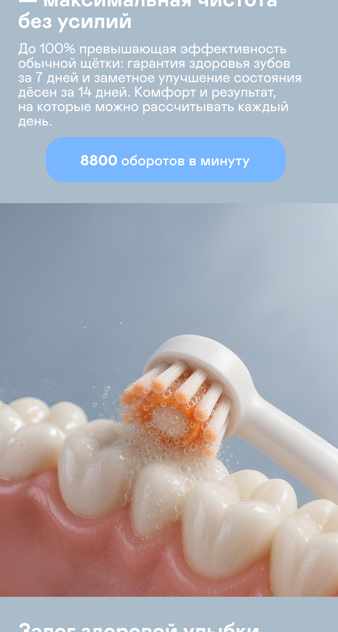 https://s3.garlyn.ru/product-contents/7952018desktop/9fac04b0-b1f0-4588-b3b6-775494c6a36f.jpg