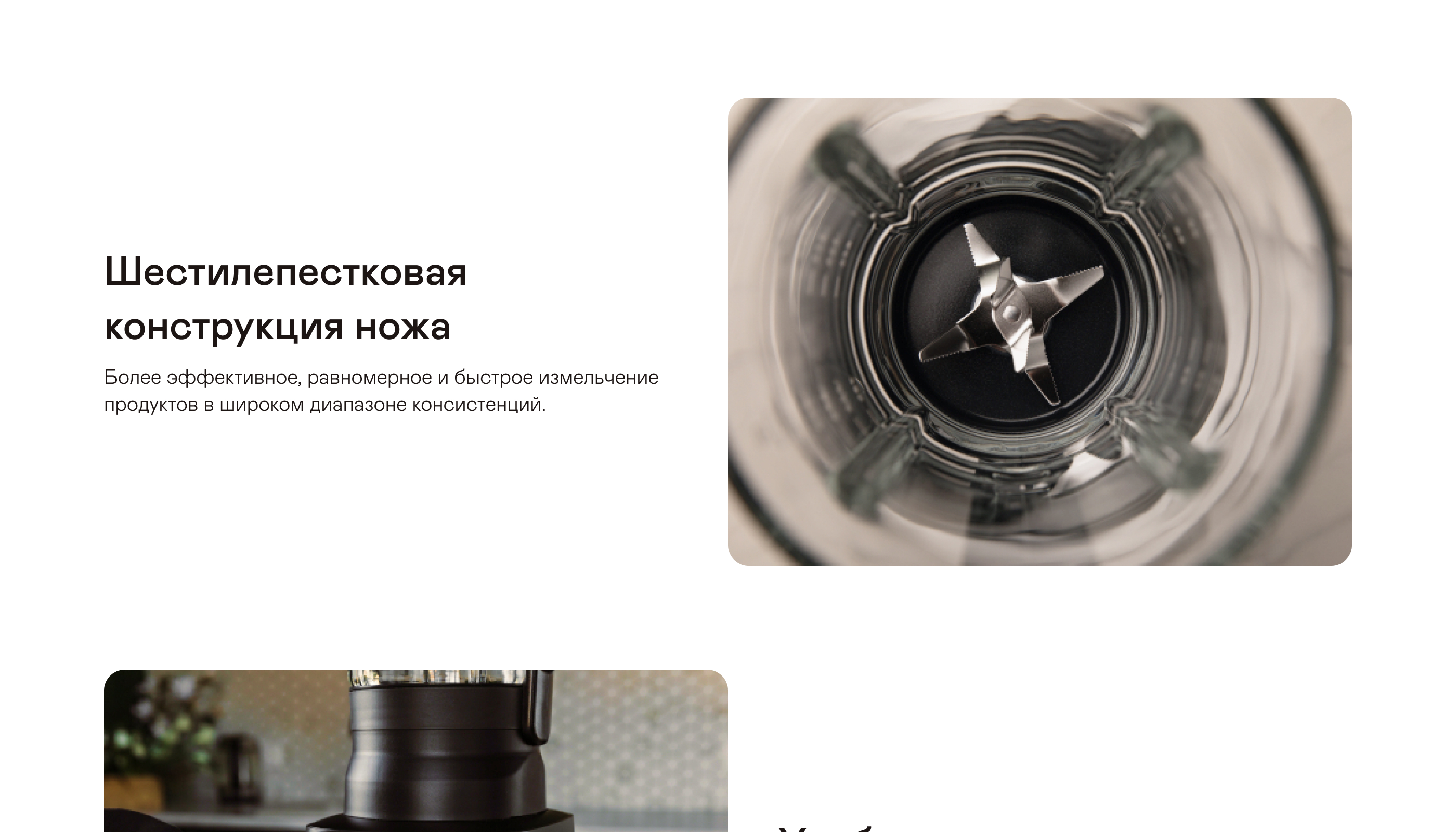 https://s3.garlyn.ru/products/PfeL2TaqDB2anibcUpRK.jpg