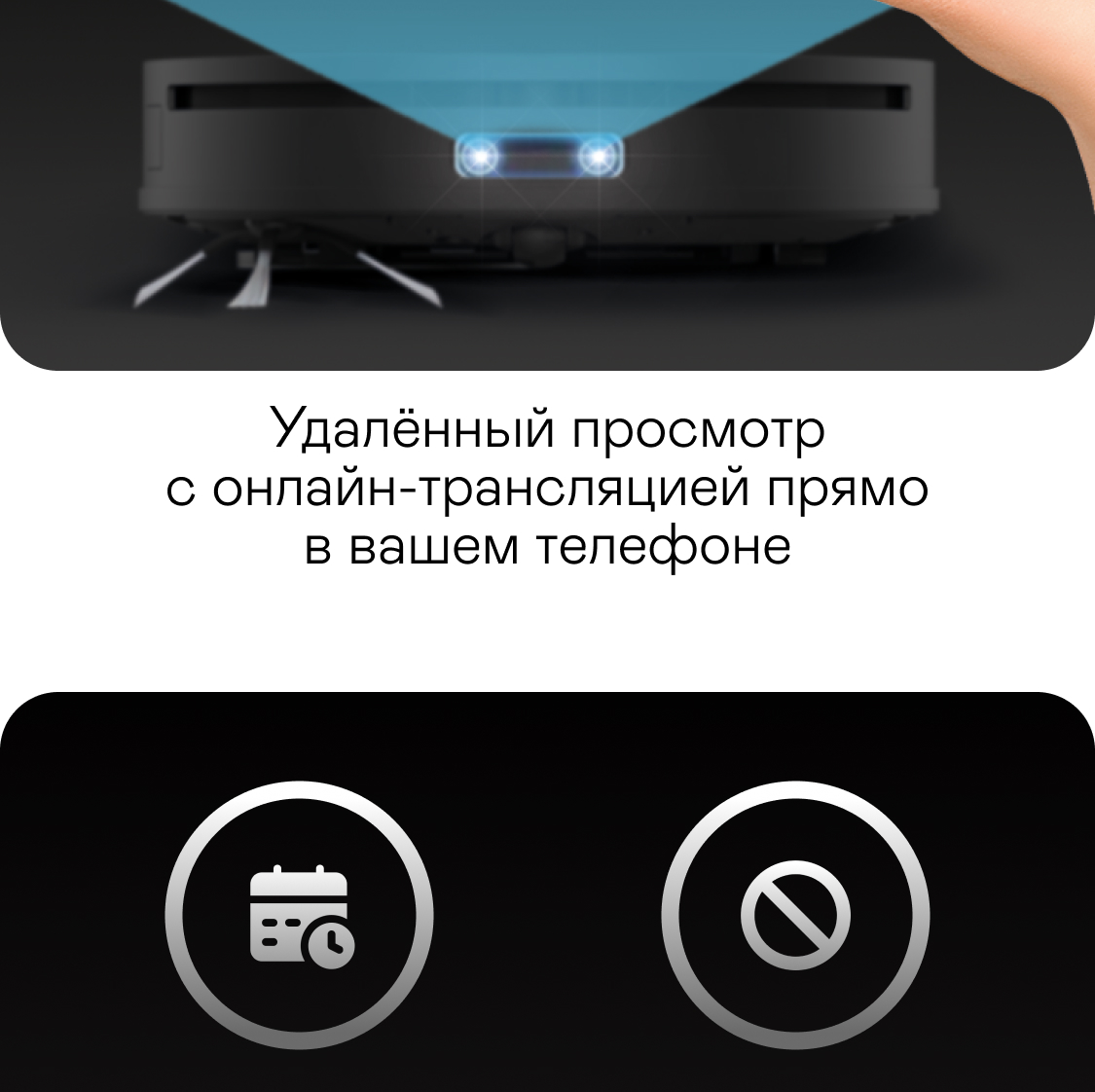 https://s3.garlyn.ru/products/XOUqJ7Ng15gRsLPxj4PX.jpg