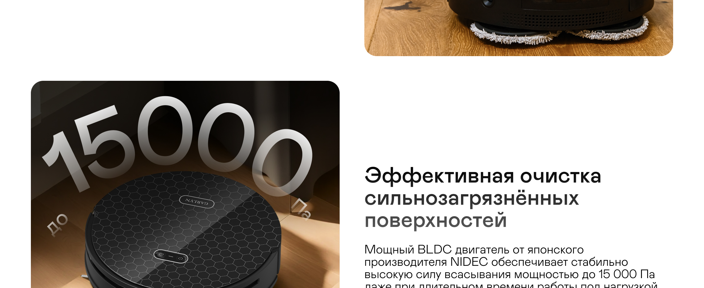 https://s3.garlyn.ru/products/f6A3U1aUaQswZDfAJgF7.jpg
