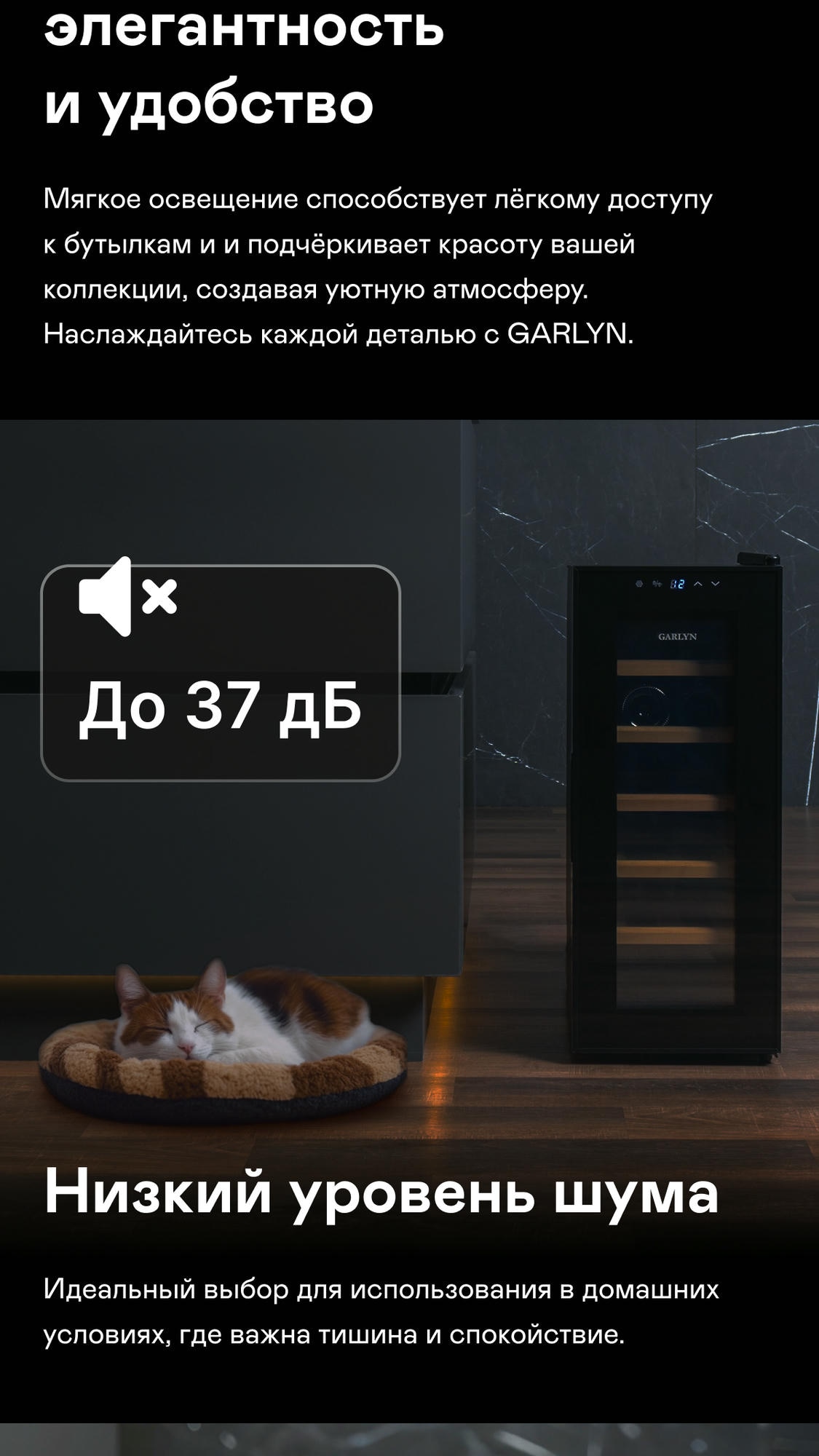 https://s3.garlyn.ru/products/hJkDdsMPPUnWiz4mF0LB.jpg