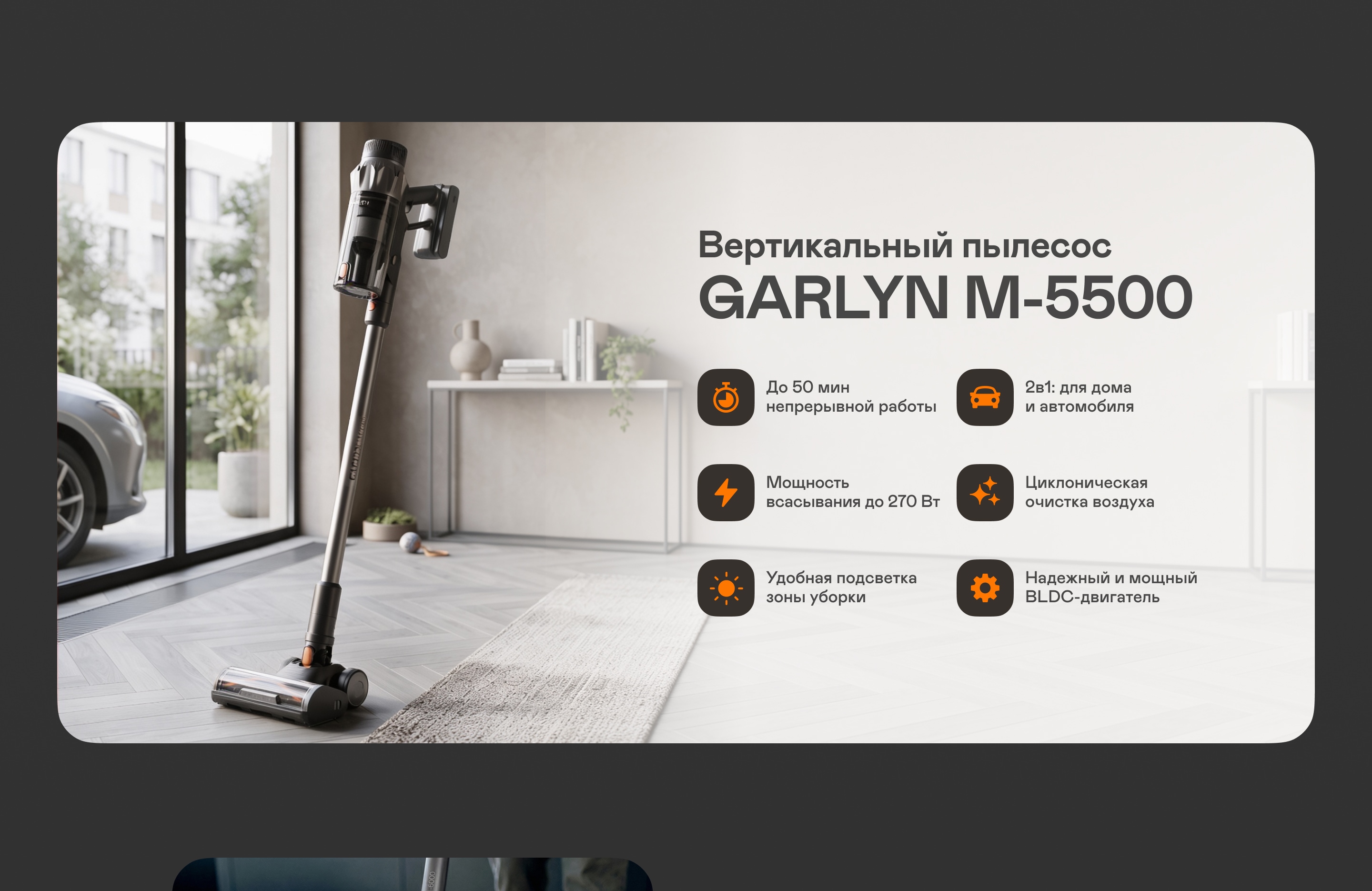 https://s3.garlyn.ru/products/hX2XhK3y95VrOXzmI7Eu.jpg