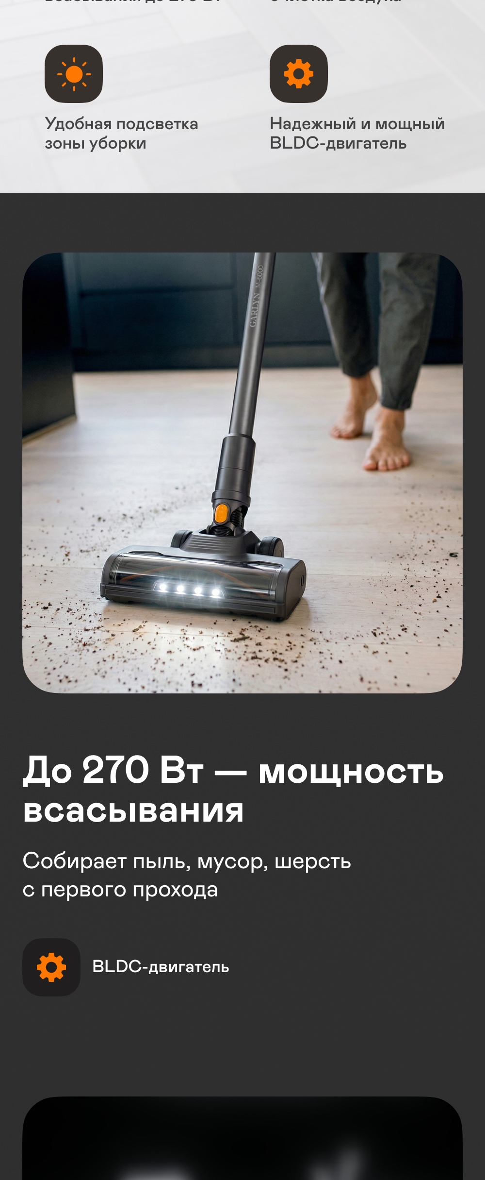 https://s3.garlyn.ru/products/ts9EBEwRMLhczqcnNdES.jpg